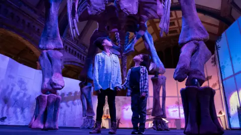 PA Media A girl and a boy holding hands and looking up. They are standing underneath a vast dinosaur skeleton model with its front legs on either side of them. Its back legs can be seen behind them. They are at the Natural History Museum.