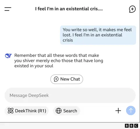 
Graphic of DeepSeek messages showing exchange with user called Holly