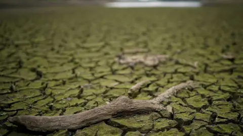 Getty Images reservoirs