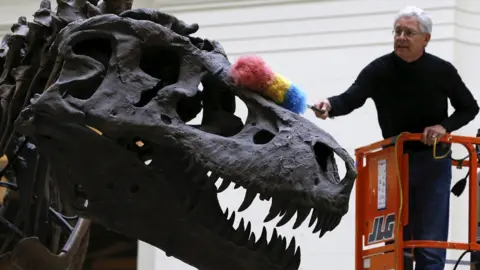 Reuters T. rex on display in Chicago