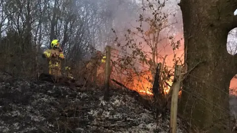 SWFRS A grass fire burns near Pontypridd which fire crews had to put out