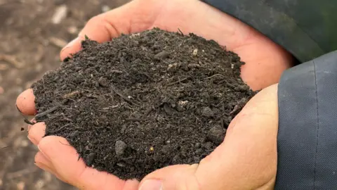 Guernsey Waste Close up of a person's hands filled with a pile of dirt in them. 