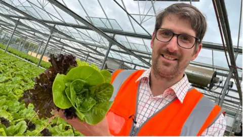 Linsey Smith/BBC Mathew Brankley stands to the right of the image wearing a checked shirt and a high-vis waistcoat. He is holding a lettuce. Behind him is a crop of salad leaves.