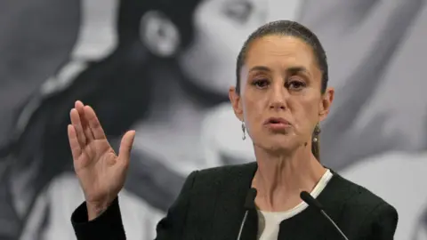 Mexican President Claudia Sheinbaum gestures with her hand as she speaks at her daily news conference.