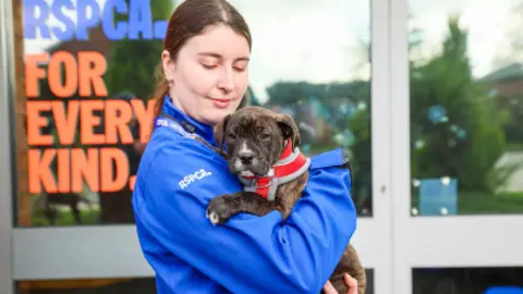 RSPCA A woman wearing a blue RSPCA jacket holds a small puppy in her arms. Behind her on the glass panelled doors are the words 'RSPCA For Every Kind."