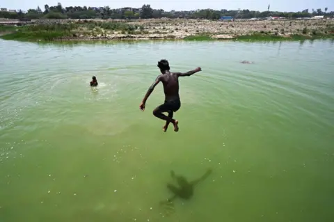 法新社新德里，一个炎热的夏日，一名男孩跳进池塘降温 