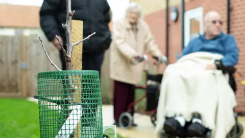 March Community Orchard In the foreground, in focus, is the top of a sapling, growing up against a wooden pole and encased in a green mesh case. It has a label attached. Behind, out of focus, is an elderly woman, standing up and holding a walker and an elderly man, sitting down, with a blanket over his knees. A third person is standing next to them, but his face is out of frame. 
