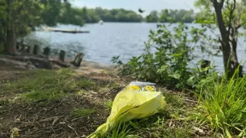 Flowers by a lake