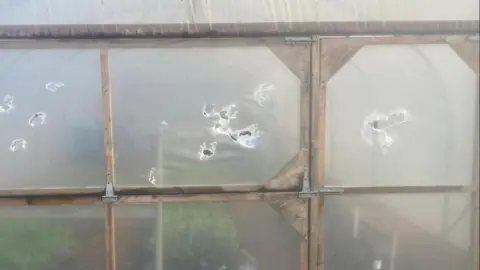 Growing Local CIC A translucent piece of plastic has several holes and rips in its material. Through the material are small green plants and a thin wooden structure. 