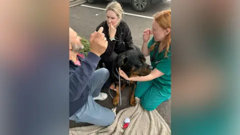 Isabella Bowers Large black and brown dog with two women and a man around him. One woman has long brown hair and is wearing green scrubs. The other woman has long blonde hair and is wearing a black top. A man with a black and grey beard is to the left, wearing a blue sweater and jeans. There is a blanket on the ground. All the people are kneeling on the ground and one woman has her arms around the dog.