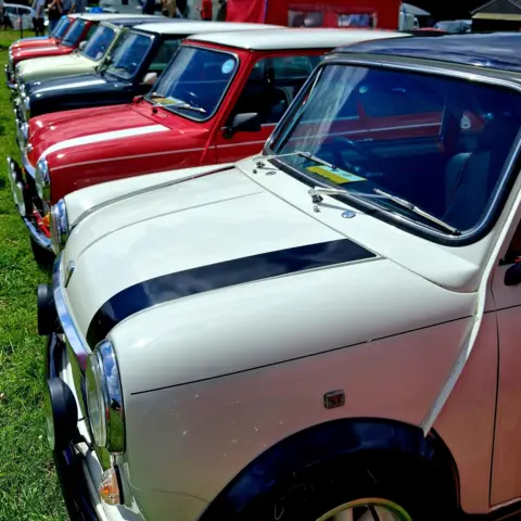 Elaine Scott A row of classic Mini cars in various colours is parked on a grassy field at an outdoor car show.