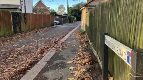 Emily Dalton/LDRS A sign reading Fairview Road at the side of a road and pavement. The narrow street, surrounded by high wooden fences, is covered in brown leaves.