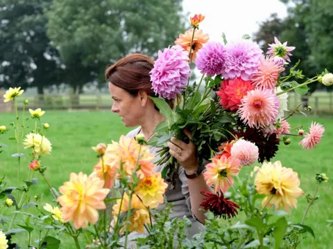 Tessa Bunney Dahlias, Holme Flowers, North Yorkshire