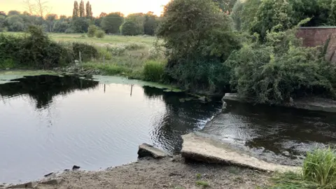 Vikki Irwin/BBC A large pond with green lush meadowland in the background