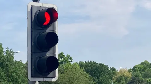 A traffic light showing red in front of trees