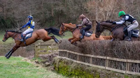 Courtfield Estate Three horses in full flight leap over a hedge with a ditch behind it. In the front is a bay horse fully stretched to land. The jockey is wearing blue and yellow colours with white breeches. Behind them is a chestnut horse and the rider is wearing black jodhpurs with a brown coat and hat. At the back, just taking off is a black horse with the jockey in beige jodhpurs, a white top with a black body protector and a green hat silk.