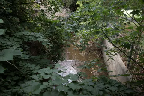 LDRS A bit of brown river