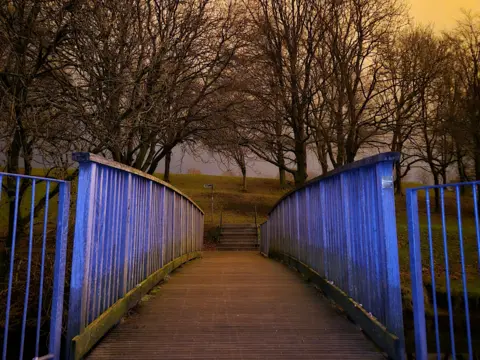 Simon Thirlwell A bridge to another part of the park - the light is casting a blueish hue on it with various trees and grass in the distance