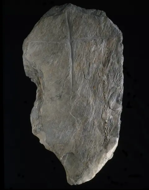 National Museums Scotland Cross incised slab