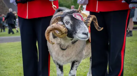 Mercian Regiment Ram in red military dress