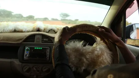 Mohamed Gabobe Hands connected  a steering wheel