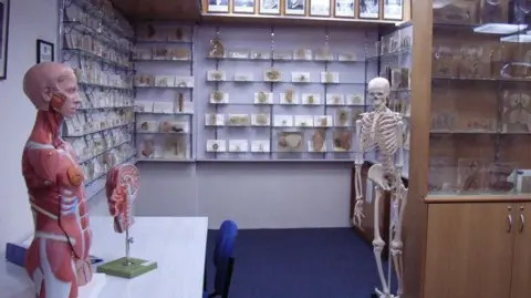 A room with a display skeleton and organ model with shelves filled with human specimens