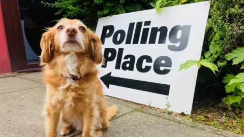 A dog waiting outside a polling station in Aberdeen