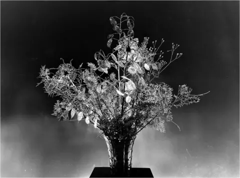 Jeanette Siwak Flowers successful  a vase photographed successful  achromatic  and white