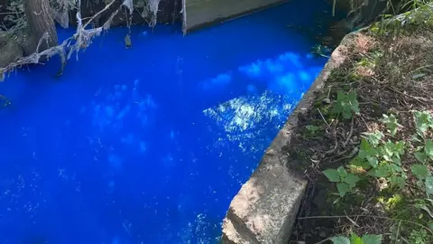 Andrew Johnson Stream in Harlow that had turned blue