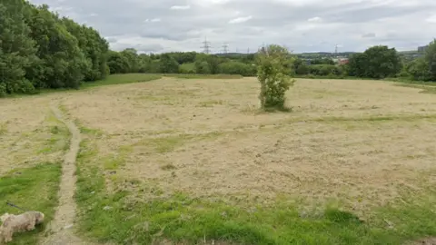 Google A patch of green park land, with a dog walking through it