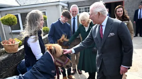 PA Media King Charles III and Queen Camilla at Broighter Gold Farm, Limavady, on day two of the royal visit to Northern Ireland. The king and queen are petting the heads of two Shetland ponies. A woman with blonde hair, wearing a black vest an white shirt underneath is standing in front of the king. A boy with dark hair wearing a navy half zip top is standing in front of the queen. A man and woman are in the background.