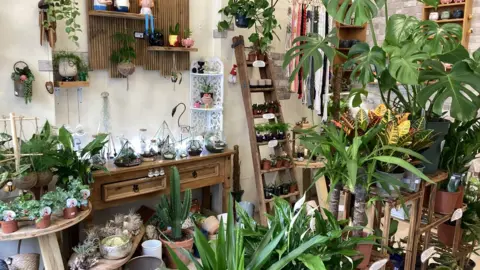 Martin Giles/BBC Plant shop in Lowestoft full of plants