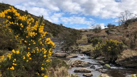 Dartmoor