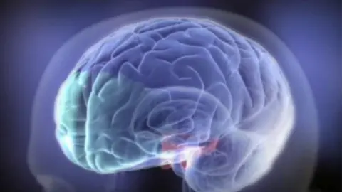 BJ Casey/Temple Law Review brain of a teenager