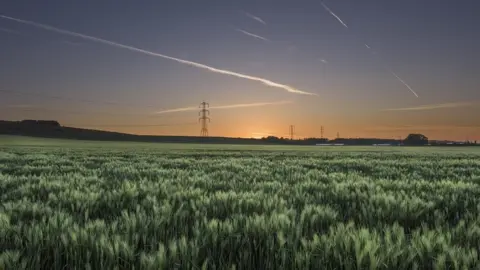 National Grid A field with crops, a sun setting and pylons