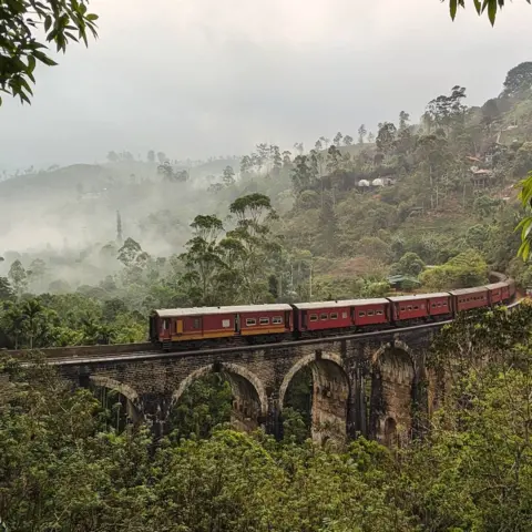 Sally R Kent A train passes over a bridge surrounded by trees