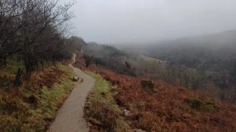 Daniel Mumby/LDRS A path on the northern side of Cheddar Gorge in the Mendip Hills on a foggy day.