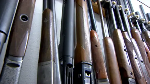 Pictures of guns displayed in a gun shop