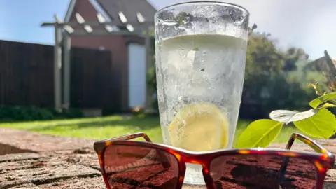Sunflowerdeb16 A glass, with a lemon in it, on a wall, with brown sunglasses in front, in a garden. A building is to the left, with a small lawn and a wooden frame. Leaves are to the right. 