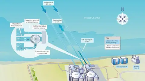 EDF Diagram made by EDF to show how water from the Bristol Channel will cool the steam which drives the turbines at Hinkley Point C. It is in the style of a technical drawing and shows the various mechanisms by how the plant will connect with the water of the Bristol Channel