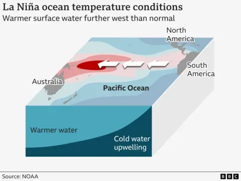 Infographic showing how in La Niña conditions, warmer ocean surface water tends to be further west than usual, on an area of the Pacific ocean stretching from Australia and Papua New Guinea to the west coast of South and Central America.