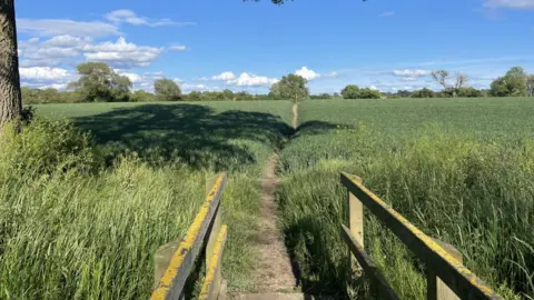 LDRS A dirt path crosses a small wooden bridge and continues through a wide green field under a bright blue sky with scattered clouds. Tall grass and crops line the path, trees border the field, and the shadow of a large foreground tree falls across the scene.