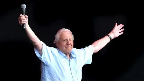 Getty Images Sir David Attenborough on stage at Glastonbury