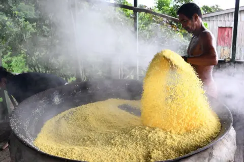 Getty Images Brazilian Edmar Santos produces cassava flour in Repartimento community, on the banks of the Tambaqui River, in northern Brazil, in April 2019.