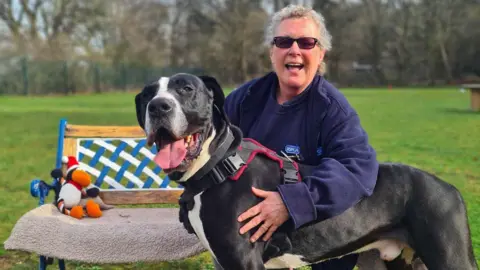 RSPCA Milo with RSCPA animal care assistant Diane Uttley