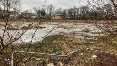 An empty plot of land. It is mainly paved over, although foliage and greenery can be seen in places. Two leafless trees are present in the foreground. It is a grim, wet day.