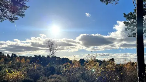 hfarenden SATURDAY - Bracknell Forest