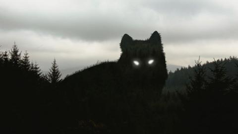 A silhouette of a wolf with piercing white eyes