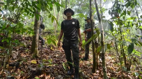 AFP Searchers in jungle