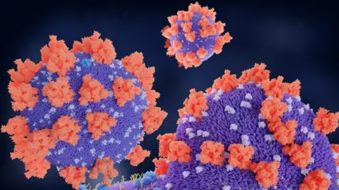 Science Photo Library Illustration of the SARS-CoV-2 virus spike proteins (red) binding to receptors (blue) on the target cell